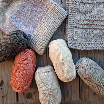 Hovedbilde Raus Trønder