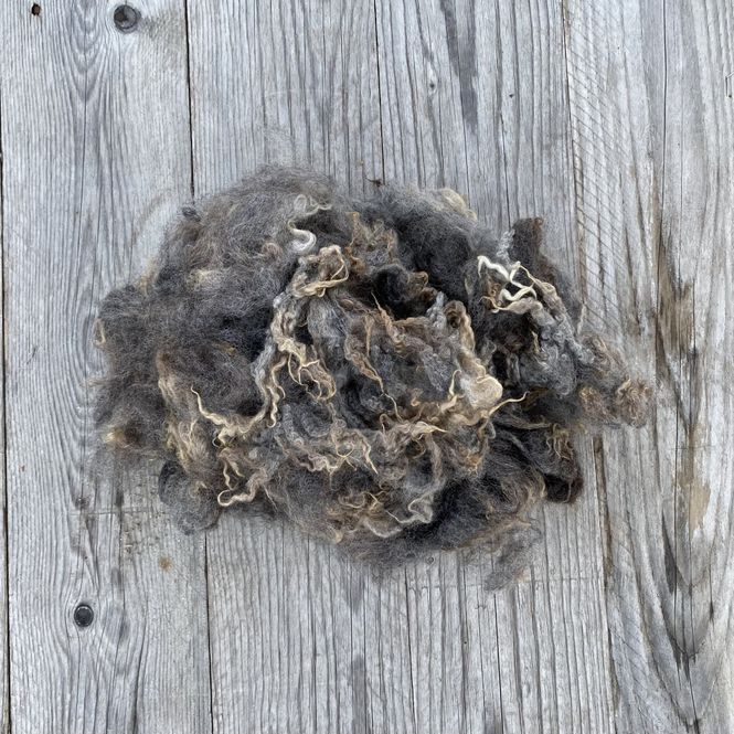 Hovedbilde Vasket ull - Grå trøndersau Mellomgrå