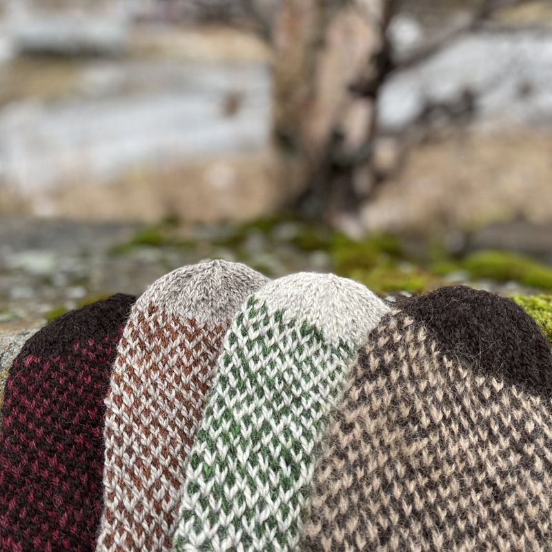 Strikkepakke - Smårutavott samojed