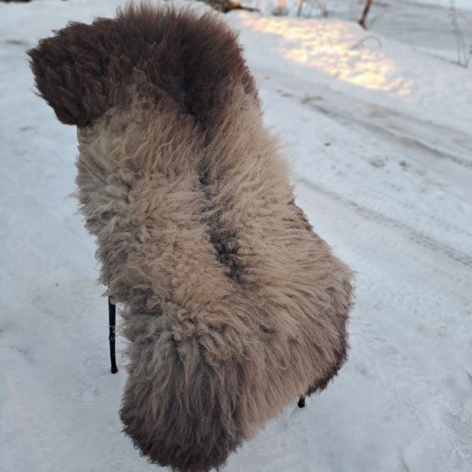 Hovedbilde Lammeskinn av Grå Trøndersau - lite