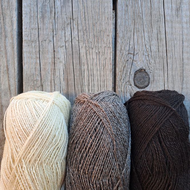 Hovedbilde Fin Gammel Selbu