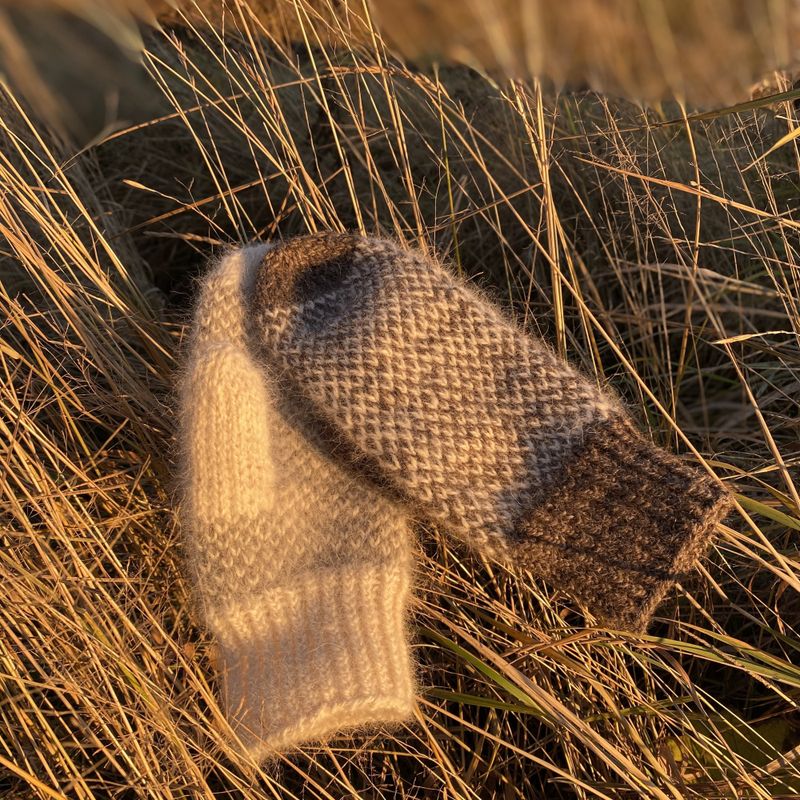 Strikkepakke - Smårutavott samojed