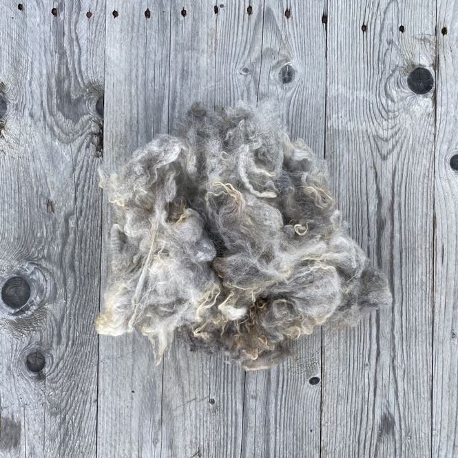 Hovedbilde Vasket ull - Grå trøndersau Lys grå