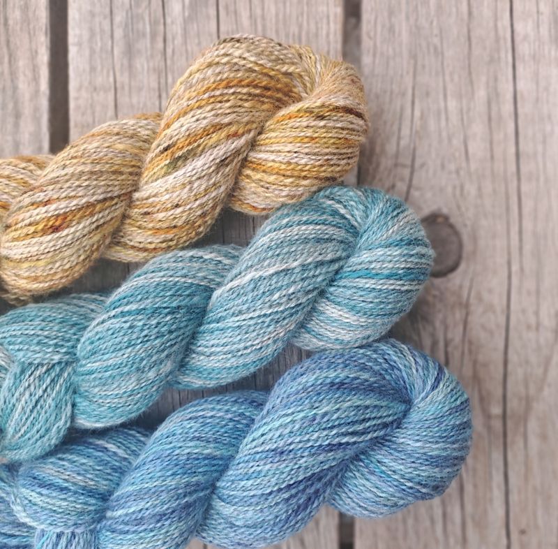 Gammel Selbu angora - Vårstorm