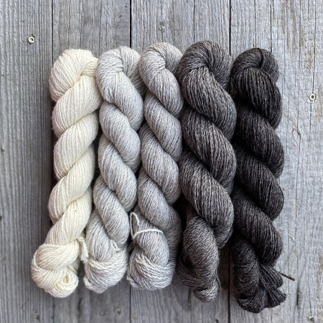 Hovedbilde Gammel Selbu - Gradient til farging