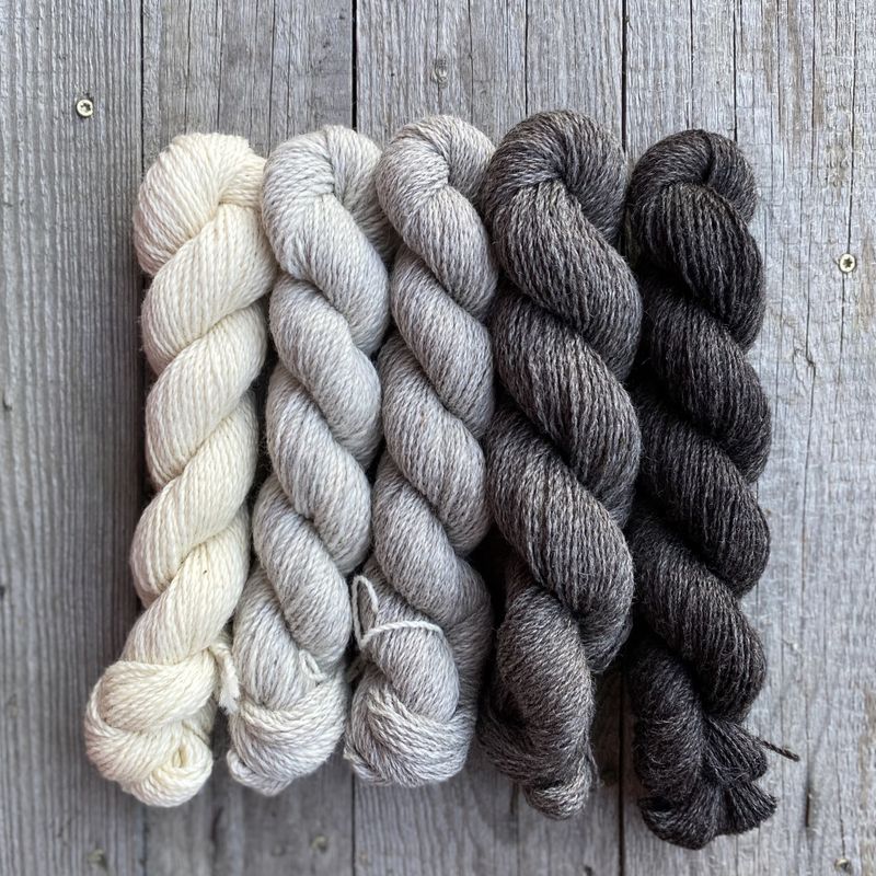 Gammel Selbu - Gradient til farging